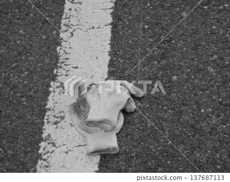 Lost item Lost item 137687113