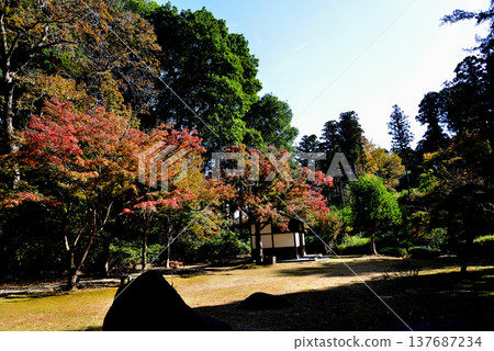 偕樂園紅葉谷的秋葉,2025 年 11 月 8 日,#48 偕樂園紅葉谷的秋葉,2025 年 11 月 8 日,#48 137687234