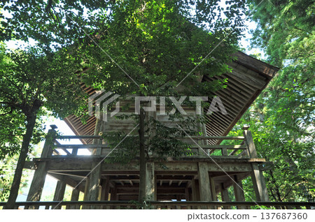 Izumo Sousa Shrine 137687360