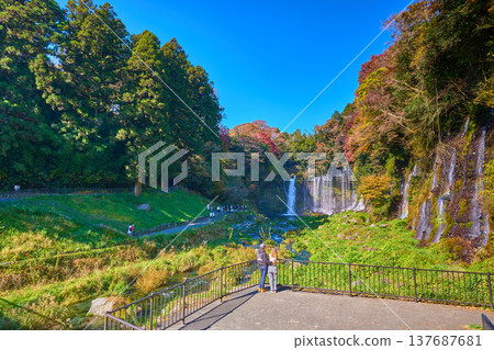 靜岡縣富士宮市白絲瀑布的秋天景色,在瀧見橋附近的觀景台上可以看到遊客。 靜岡縣富士宮市白絲瀑布的秋天景色,在瀧見橋附近的觀景台上可以看到遊客。 137687681