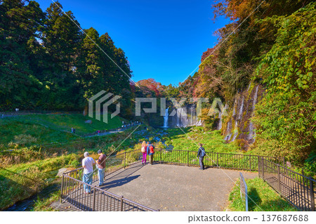 靜岡縣富士宮市白絲瀑布的秋葉,以及瀧見橋附近的觀景台和遊客。 靜岡縣富士宮市白絲瀑布的秋葉,以及瀧見橋附近的觀景台和遊客。 137687688