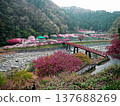 On the opposite bank, colorful peach blossoms are in full bloom. 137688269
