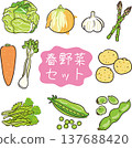 Hand-drawn style spring vegetable set 137688420