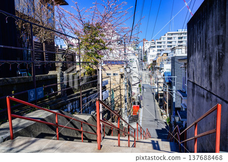 Suga Shrine, Shinjuku Ward, Tokyo: The men's steps (Otoko-zaka) on the approach to the shrine are the motif for the anime "Your Name." 137688468