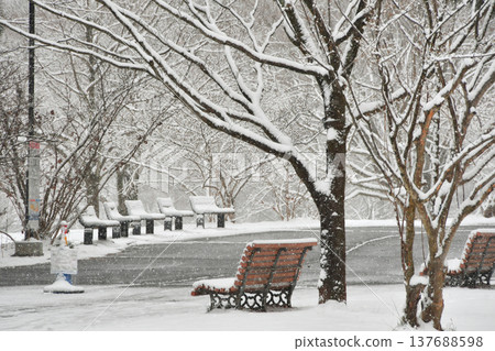 Snowy Forest Park_04 Snowy Forest Park_04 137688598