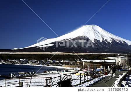 Scenery along the shore of Lake Yamanaka in March (Location: Lake Yamanaka shore) 137689750