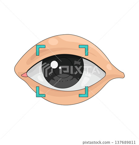 Illustration of eye scan Illustration of eye scan 137689811