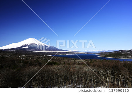 Scenery along the shore of Lake Yamanaka in March (Location: Lake Yamanaka shore) Scenery along the shore of Lake Yamanaka in March (Location: Lake Yamanaka shore) 137690110