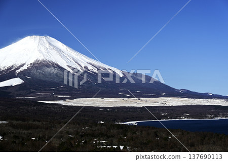 三月山中湖畔風光（地點：山中湖畔） 137690113