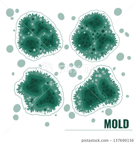 Set of vector illustrations showing green mold and mildew growth. Fungal spores bundle. Set of vector illustrations showing green mold and mildew growth. Fungal spores bundle. 137690136