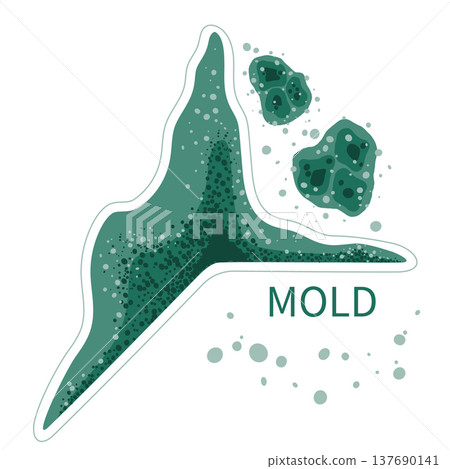 Green mold in damp room corner. Black fungus growth in humid environment vector illustration. Green mold in damp room corner. Black fungus growth in humid environment vector illustration. 137690141