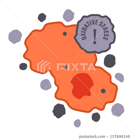 Oxidative stress from free radicals sign on damaged cell 137690148