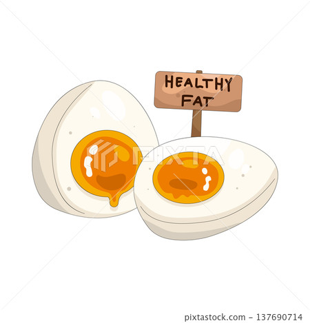 Illustration of boiled egg Illustration of boiled egg 137690714