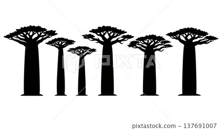 Set of Six Black Solid African Baobab Tree Silhouettes Set of Six Black Solid African Baobab Tree Silhouettes 137691007