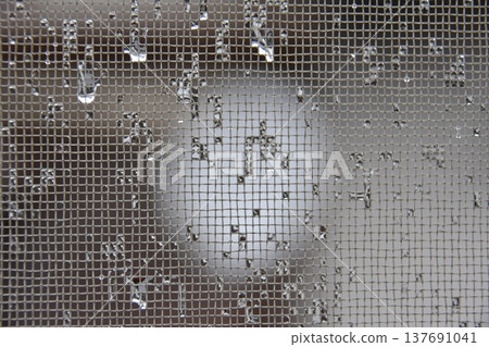 The texture of a screen door and raindrops on a rainy day The texture of a screen door and raindrops on a rainy day 137691041