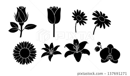Black Solid Blooming Flowers Silhouettes Set of Six on White Background Black Solid Blooming Flowers Silhouettes Set of Six on White Background 137691271