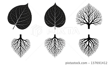 Black Solid Branching Root Silhouettes Set of Six on White Background 137691412