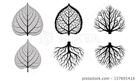 Black Solid Branching Root Silhouettes Set of Six on White Background 137691418