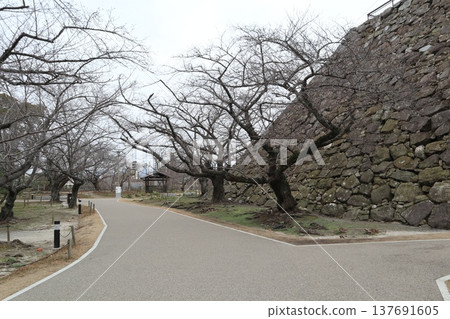 2024年,福岡,福岡市,風景,中央區,城內,福岡城,福岡城遺址,第65部分 2024年,福岡,福岡市,風景,中央區,城內,福岡城,福岡城遺址,第65部分 137691605
