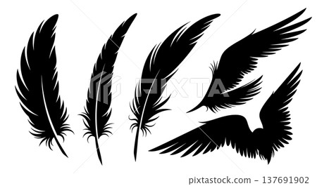 Black Solid Abstract Feather Silhouettes Set of Six on White Background Black Solid Abstract Feather Silhouettes Set of Six on White Background 137691902