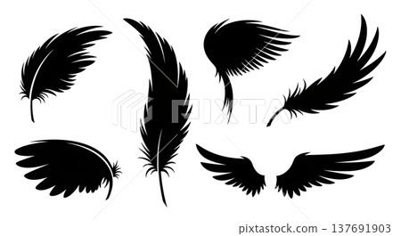 Black Solid Abstract Feather Silhouettes Set of Six on White Background Black Solid Abstract Feather Silhouettes Set of Six on White Background 137691903