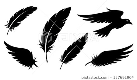 Black Solid Abstract Feather Silhouettes Set of Six on White Background Black Solid Abstract Feather Silhouettes Set of Six on White Background 137691904