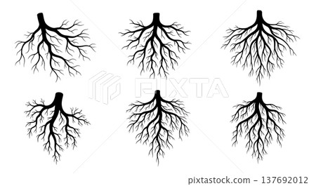 Black Solid Abstract Root Silhouettes Set of Six on White Background 137692012