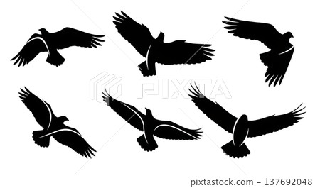 Black Solid Abstract Wing Silhouettes Set of Six on White Background Black Solid Abstract Wing Silhouettes Set of Six on White Background 137692048