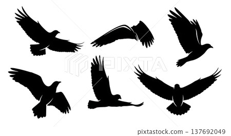 Black Solid Abstract Wing Silhouettes Set of Six on White Background Black Solid Abstract Wing Silhouettes Set of Six on White Background 137692049