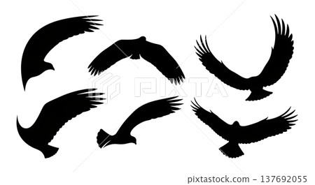 Black Solid Abstract Wing Silhouettes Set of Six on White Background 137692055
