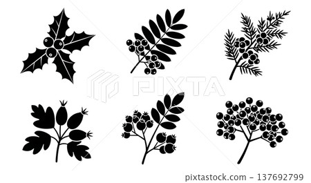 Black Solid Autumn Berry and Branch Silhouette Assortment 137692799