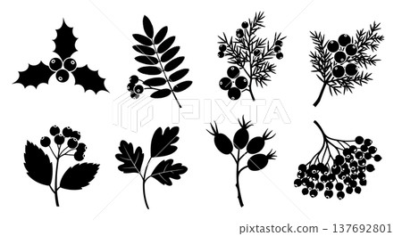 Black Solid Autumn Berry and Branch Silhouette Assortment Black Solid Autumn Berry and Branch Silhouette Assortment 137692801