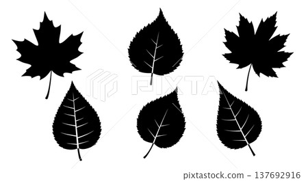 Assortment of Six Black Solid Autumn Leaf Silhouettes Assortment of Six Black Solid Autumn Leaf Silhouettes 137692916