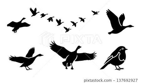 Black Solid Autumn Migratory Bird Silhouettes Set of Six 137692927