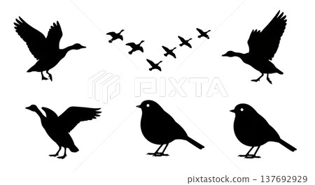 Black Solid Autumn Migratory Bird Silhouettes Set of Six 137692929