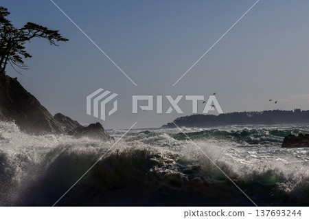 Goishi Coast 137693244