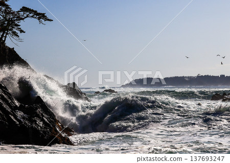 Goishi Coast 137693247