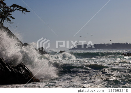 Goishi Coast 137693248