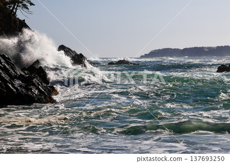 Goishi Coast 137693250