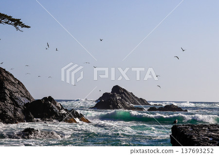 Goishi Coast 137693252