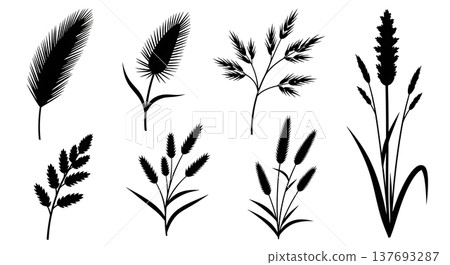 Black Solid Wild Autumn Grass and Seed Head Botanical Silhouettes 137693287