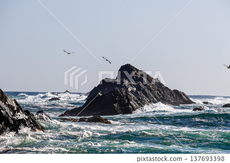 五石海岸 137693398