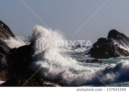 Goishi Coast 137693399