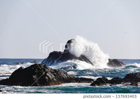 Goishi Coast 137693403