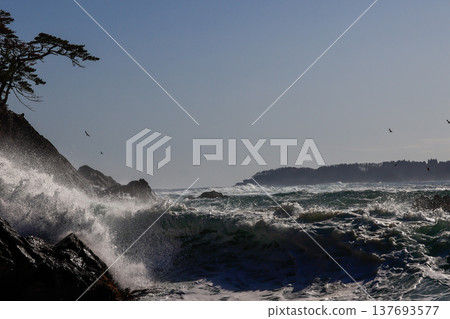 Goishi Coast 137693577
