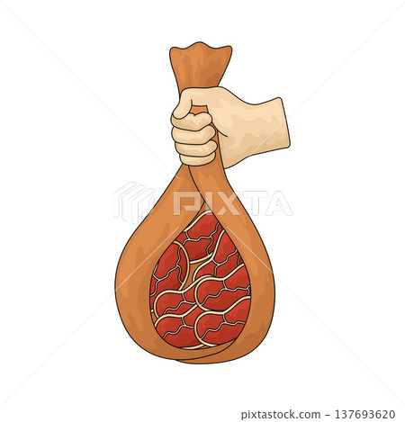 Illustration of Meat Distribution Illustration of Meat Distribution 137693620