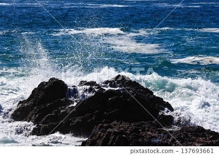 Goishi Coast 137693661