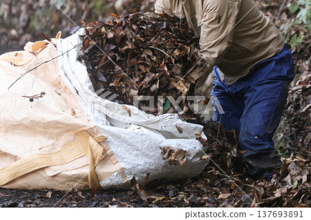 A man collecting fallen leaves A man collecting fallen leaves 137693891