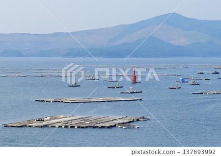 在三重縣鳥羽市伊勢志摩市峰浦溫泉的生浦灣，牡蠣養殖筏漂浮在海面上。 137693992