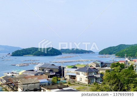 在三重縣鳥羽市伊勢志摩市峰浦溫泉的生浦灣,牡蠣養殖筏漂浮在海面上。 在三重縣鳥羽市伊勢志摩市峰浦溫泉的生浦灣,牡蠣養殖筏漂浮在海面上。 137693993